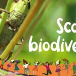 Scatti Biodiversi – Scuola Secondaria
