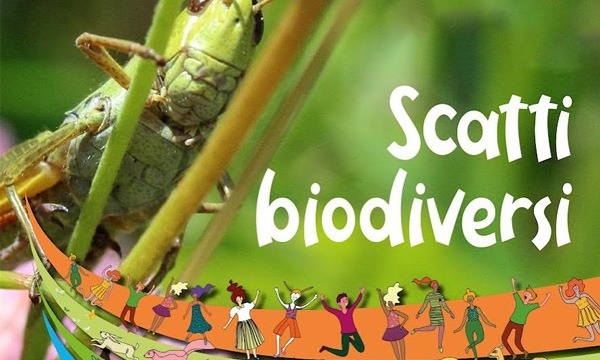 Scatti Biodiversi – Scuola Secondaria